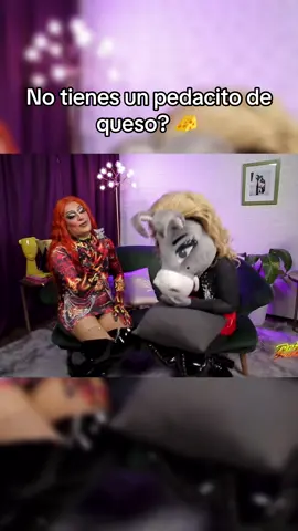 Mi perrito si puediera hablar: No tienes un pedacito de queso? 🧀😂 Sígueme para más videos. Video del canal Turbulence Queen & Burrita Burrona. @Burrita Burrona @Turbulence Drag Queen #burrita #burritaburrona #turbulence #viral #trend #fyp #parati #fyppppppppppppppppppppppp 