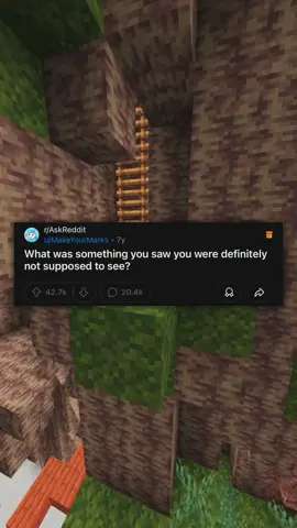 What was something you saw you were definitely not supposed to see? #reddit #redditstories #reddit_tiktok #redditstorytime #fyp #redditreadings 