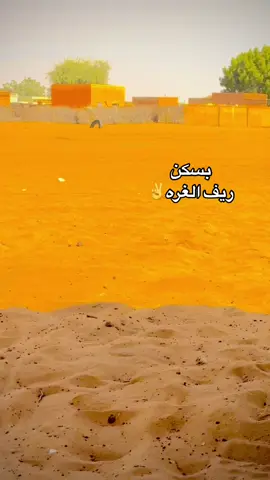 #creatorsearchinsights #بسكن باره شمال الغره