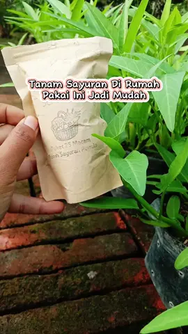 Benih sayuran lengkap #benihsayuran #benihsayuranmurah #benihsayuranberkualitas #paketbenihsayuran #benih #sayuran #pemula #praktis #bagus #benihseribuan #tipsberkebun #gardening101 #berkebun #berkebundirumah #murah 