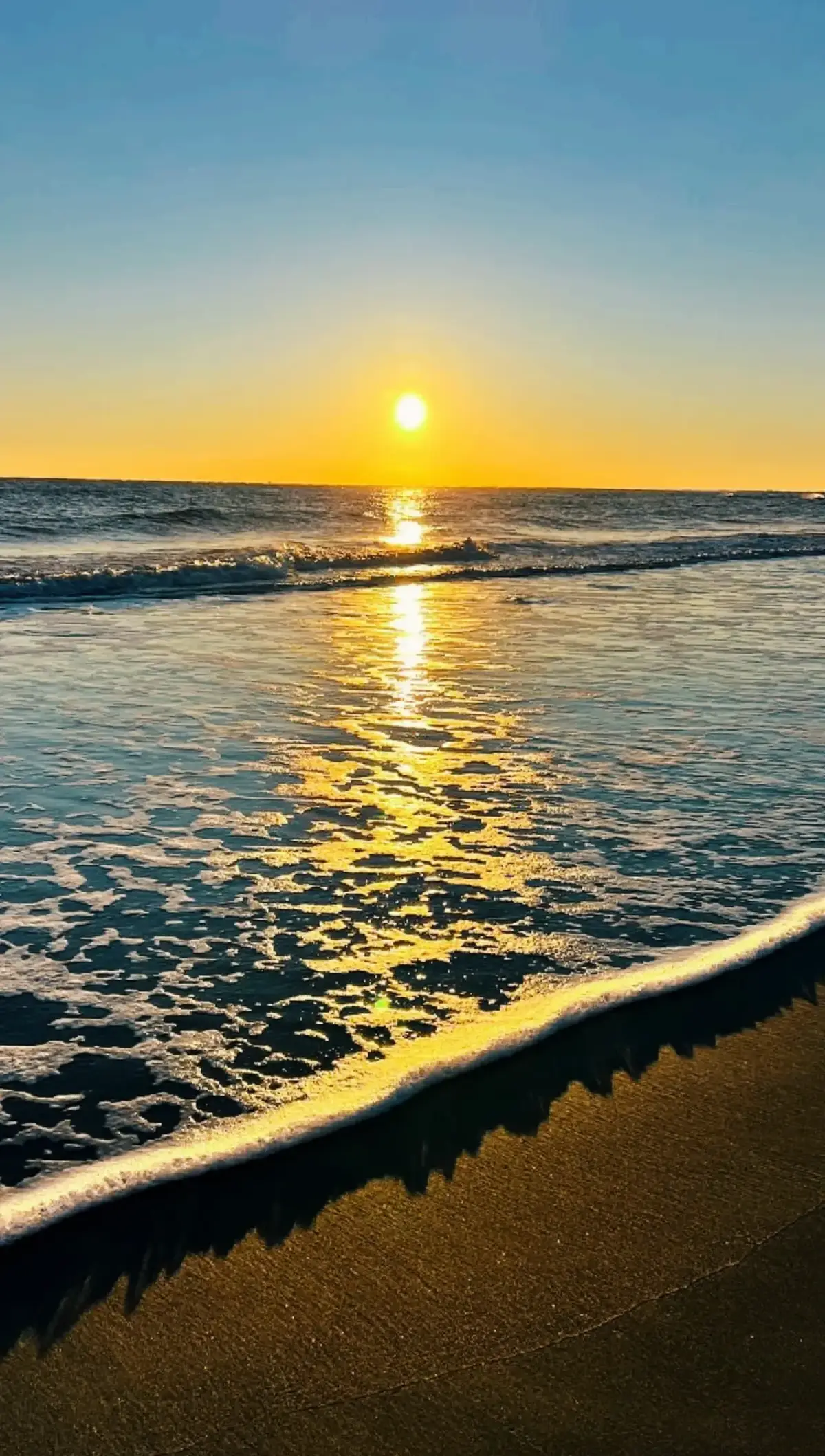 #اكسبلورexplore #قصايد 