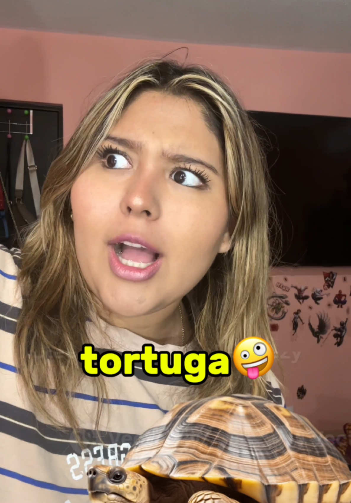 ¡Miren esto, amigos 😱! ¿Qué color elegirían? @Baseus México #Baseus #Baseusmx