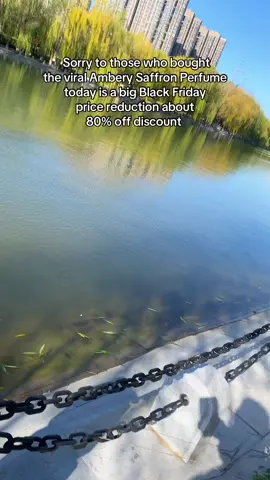 SAVE $70😂😂😂#treasurefinds #christmas #tiktokshopblackfriday #blackfriday #tiktokmademebuyit #blackfridayearlydeals #tiktokshopcybermonday 