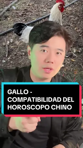 Eso es mi gallo! #chinochilango #horoscopochino #gallo #compatibilidad #culturachina #parejas #amor 