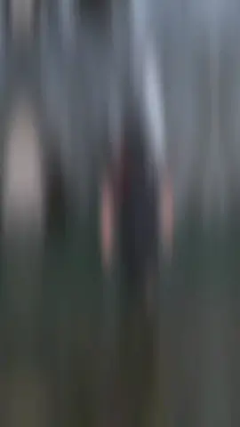 自由一生就是我的全部野心 #享受自由 #瀑布 #ootd穿搭 #fyp #Viral #parati 