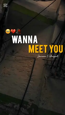 WANNA MEET YOU 🥺💔#CapCut#poetry #Love #dard #shayri #1millionviews #grow #goviral #tiktok @TikTok 