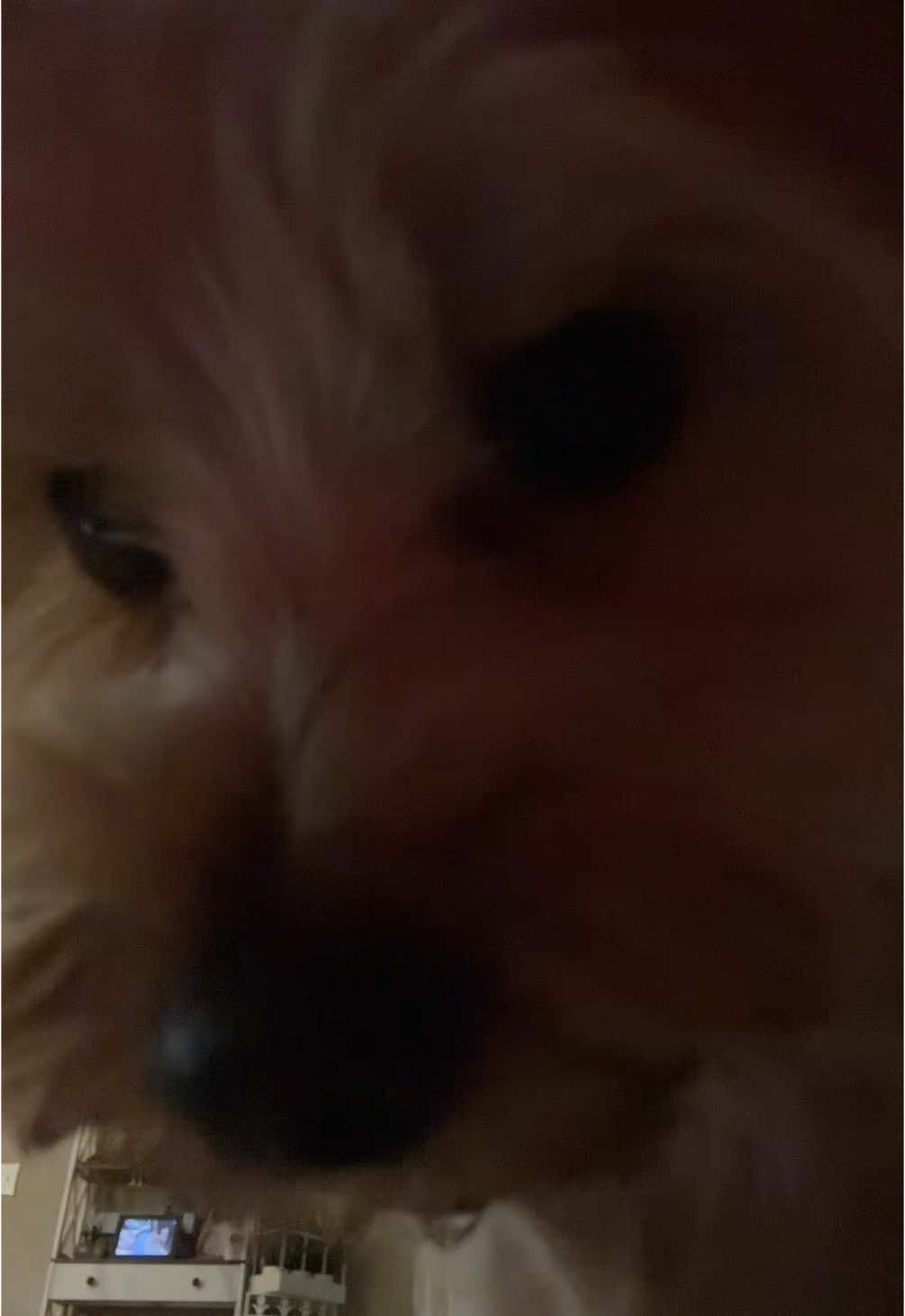 Roger didnt seem to like you watching him 