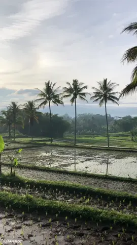 Selamat pagi , Commuter line Cibatu - Padalarang dengan lokomotif longhood #railfansindonesia #railfans #kai121 #keretaapiindonesia #leuwigoong #jawabarat #leuwigoong #murottalquran #sholawat #pedesaanindonesia #kampung #capcut 