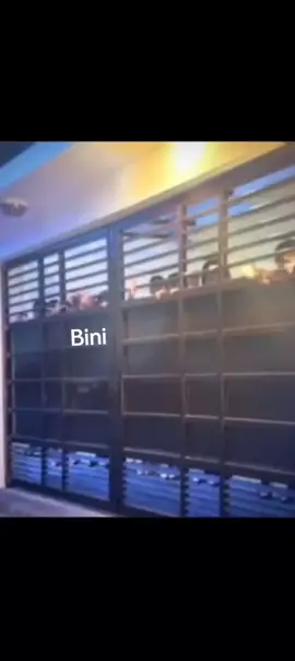 hh Yung nangangaroling sa Bahay niyo si boss ssob tapos natatawa ka sa kanta niya  #biniph #colet #binihouse  #goodvibes 