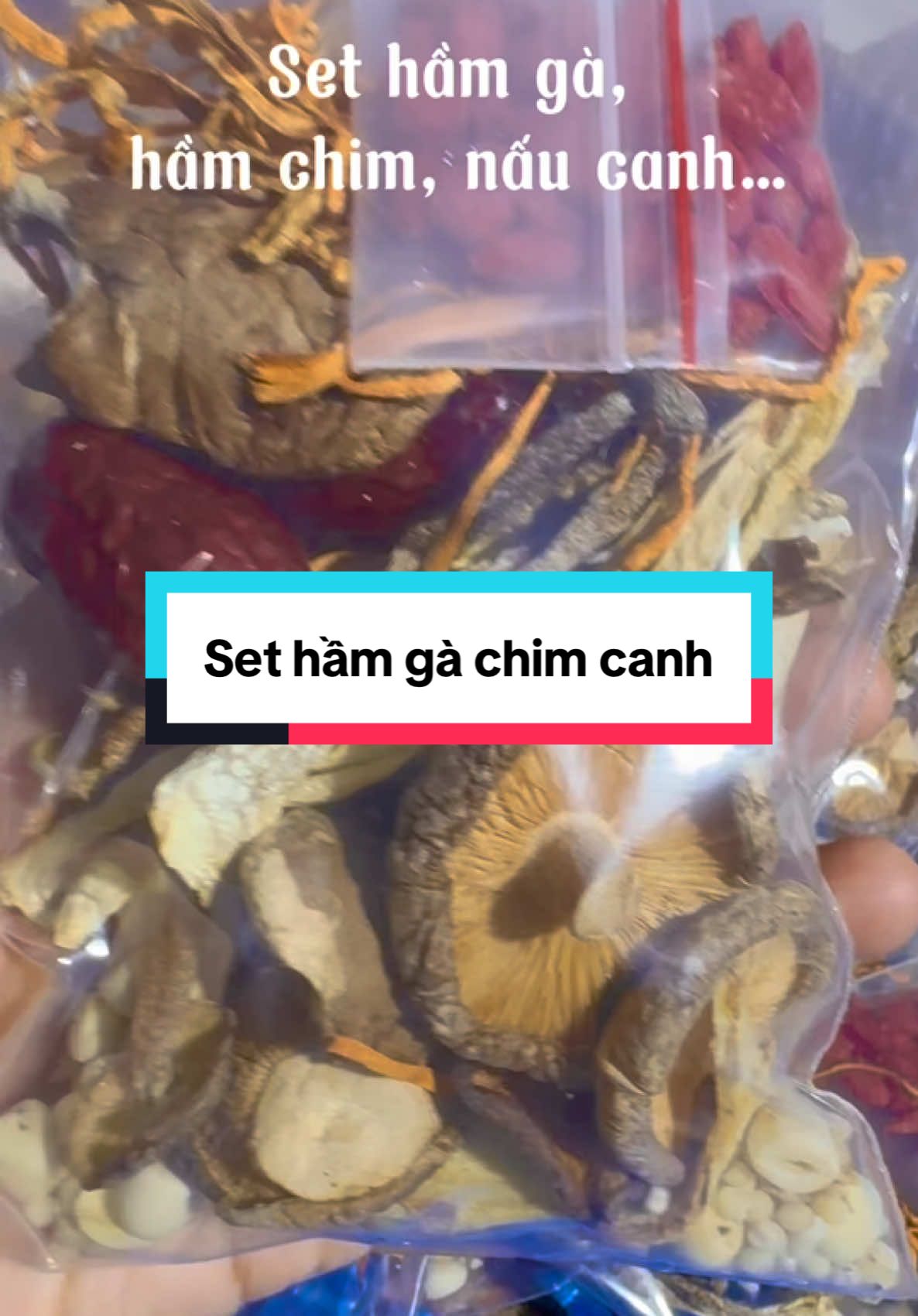 Set gia vị hầm gà, chim, bò…. B.ổ dưỡng, thơm ngon. Mùa đông hầm 1 nồi cho cả gđ là quá tuyệttt#sethamga #giavitiemga #giavitiemgathuocbac #giavihamga #giavihamthit 