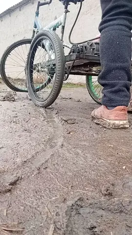 kuchen katta 😱💯👈👈🤣🇺🇿