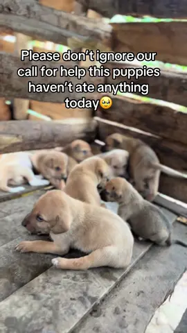 Even 1$ helps #viraltiktok #fyp #fyyyyyyyyyyyyyyyy  #fypppppppppppppp #fy 