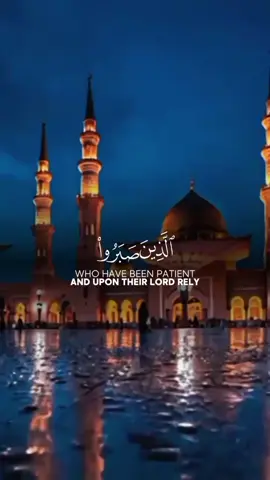 Quran Pak tilawat #quran #tilwat #quran_alkarim #tilwat_e_quran_pak #muslimah #dua #prayers #namaz #darood #naatsharif #whatsappstatus #madina #makkah #masjid #wazu #muslim #muslimah #muhammad #quranrecitation #quranic #islaam #officehumor #unfreeze #viralvideos #usa_tiktok #istanbul #nasheed #sudiarabia #Allah #allahuakbar #algeria #foruyou #viral_video #yourbestshot  #creatorsearchinsights 