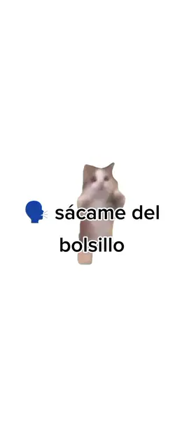 sácame del bolsillo  #humor #fypp #viral_video #memes
