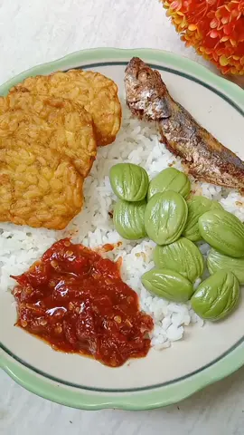 ternikmat pokonya  #bismillahfyp #masyaallahtabarakkallah #fyppppppppppppppppppppppp #fypシ゚viral #khassunda #sambelterasi #pete #makannikmat #ikanasin 