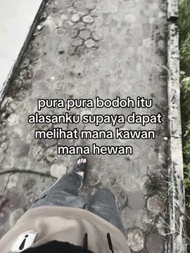 #justkonten #astetic #katakata #bahanswmu #fypシ #4u #xybca #storywa #qoutes #kece #storykece #pku #tembaklangit #djboxing🥊 #mp 