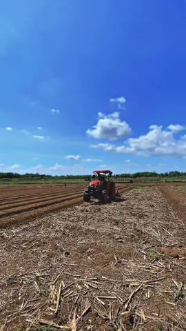 Cuaca ne mening lokasine yo mening woo 🌤️🌤️ @Alphaville #jondere #traktormaniaindonesia #kubota6040🚜 #kubotal5018🚜 #kubota #traktorthailand #petanimuda 