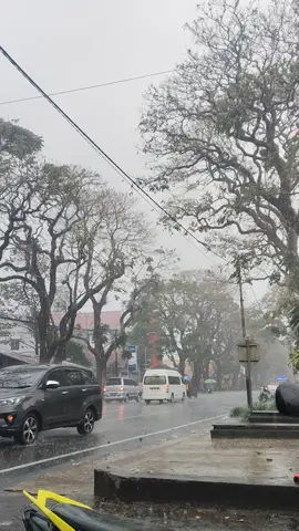 Ayomi pi Malino hujan