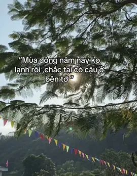 #xhuong #capcut #xhtiktok #tinhyeu 