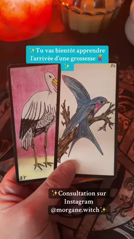 Tu vas bientôt apprendre l’arrivée d’une grossesse 🤰 #tarot #tiragesentimental #cartomancievoyance #voyancegratuite #voyancegratuitepourtoi 