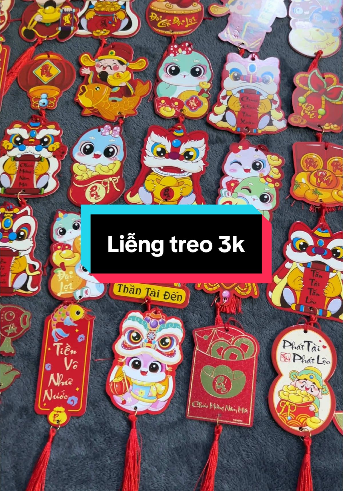 Liễng treo tết 2025 #liễng #liengtreotet 