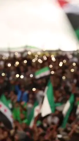 #بندوسهم بندوسهم بيت الاسد😌✌️💚