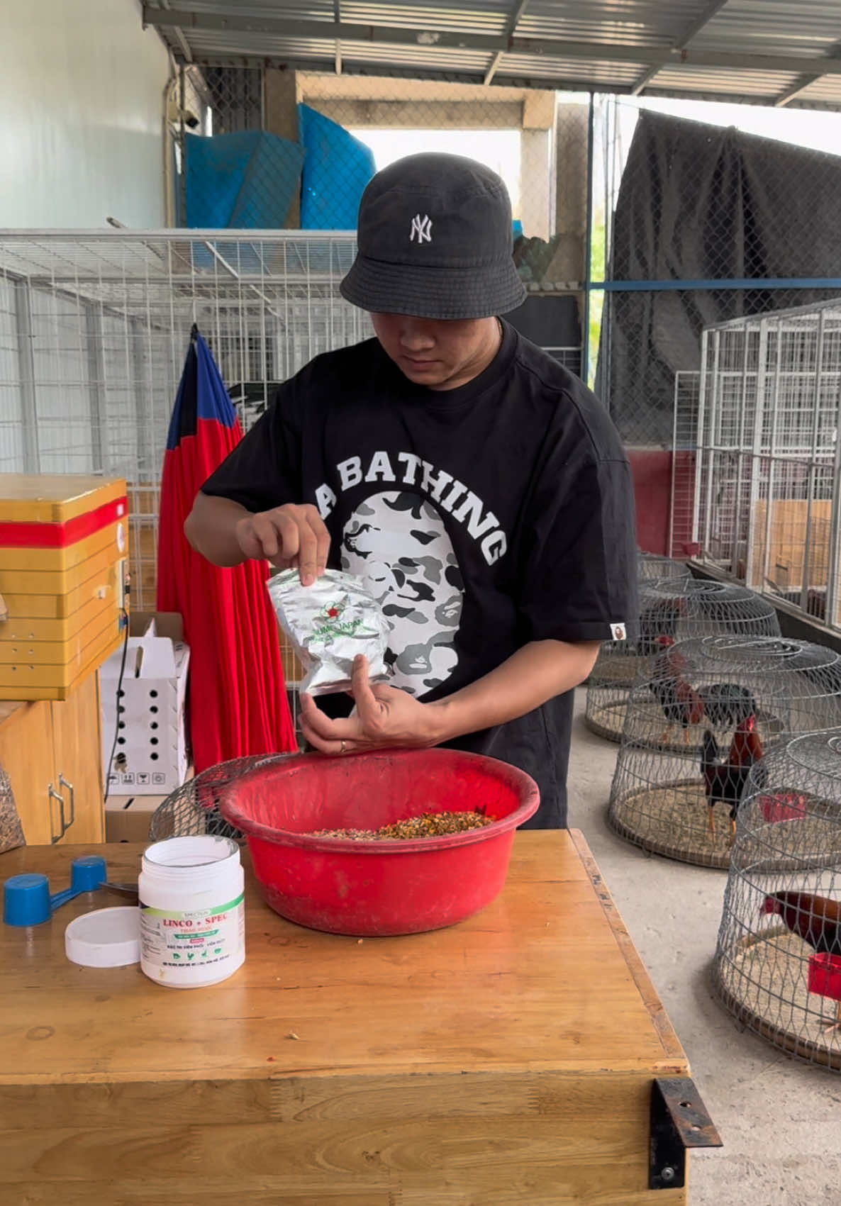 Trả lời @Vãi lòng thật 🙉🙉 mùa lạnh tới rồi #tinfarm #gà @Tinfarmshop1 