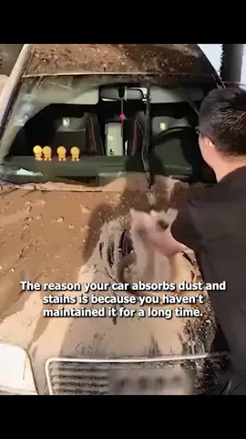 High Protection Fast Coated Car Nano Spray  #coating#coatingspray#cardetailing#carwash#carcare#carcoating#carcleaning#carhacks#carspray