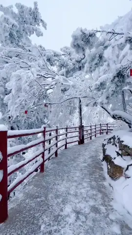 #눈 #날씨좋다 #풍경영상 #겨울 