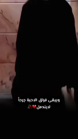 #في هذا اليوم ☘️روحي غرگانة بتعب كلش غميج💔