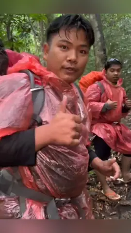 Sebuah penemuan langka baru saja terjadi digunung hauk kalimantan sejumlah pendaki menemukan kura-kura matahari yang hampir punah.  Sc = wicaksono484 #shorts #fyp #reels 