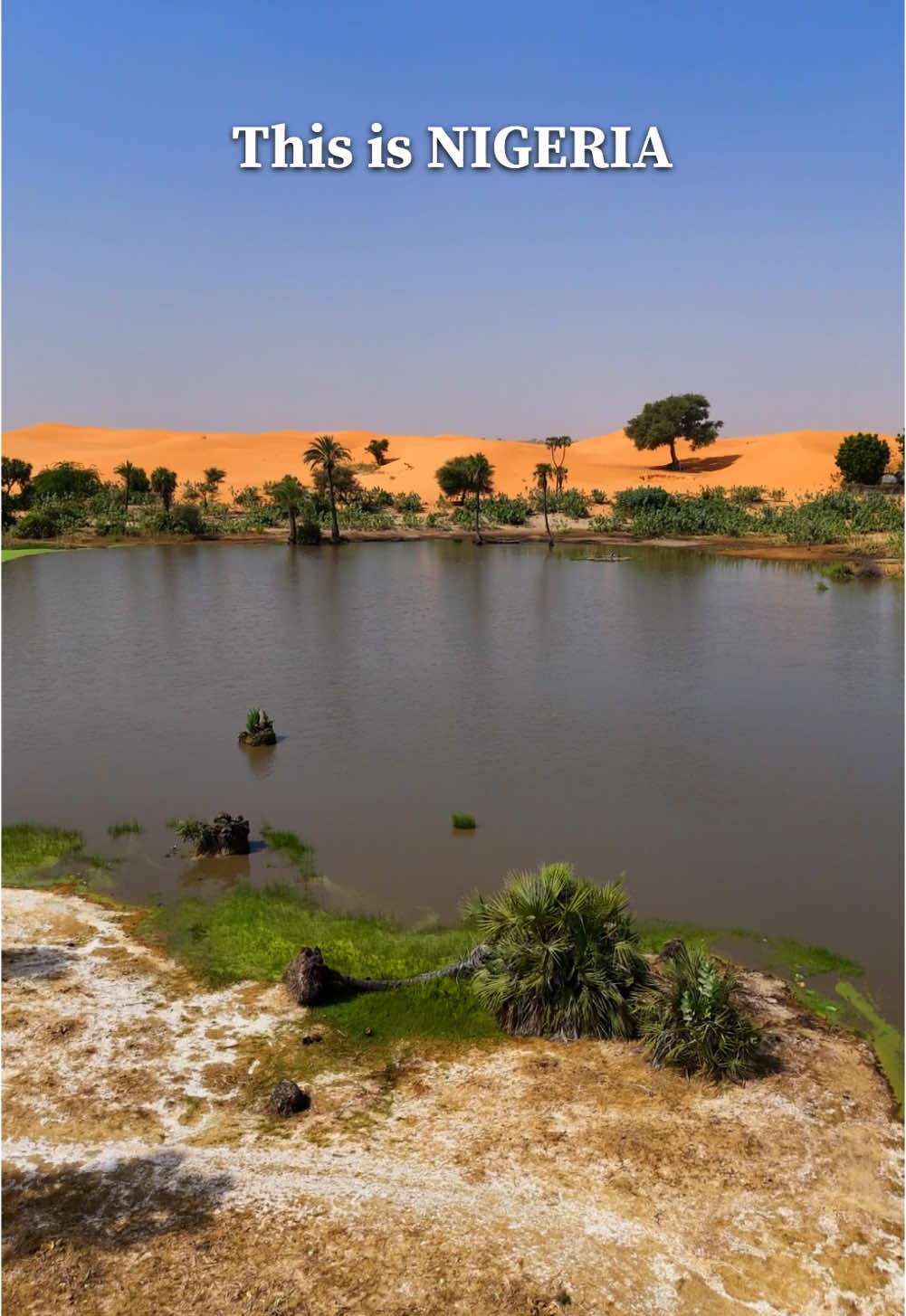 Deserts aren’t the first thing that comes to mind when you think of Nigeria, but maybe they should be. This is Yusufari Desert in Yobe State, northeast Nigeria. It’s one of those places that makes you realize just how diverse Nigeria really is. There’s so much more to Nigeria than most people realize. #desert #yusufaridesert #yobe #yobestate #northernnigeria #northernnigeriatotheworld #nigeria #visitnigeria #explorenigeria #travelnigeria #seenigeria #nigeriatravel #westafrica #westafricatravel #africa #africatravel #visitafrica #africantravel #bucketlist #bucketlisttravel #bucketlistdestinations 