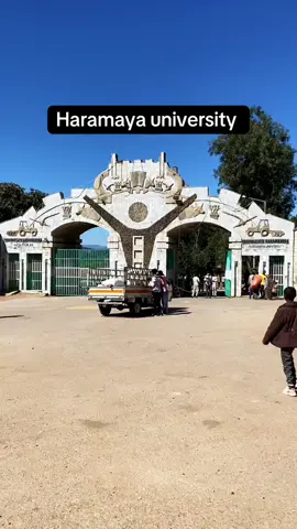 #haramayauniversity #ethiopianuniversity #fyp #ethiopian_tik_tok #ethiopian_tik_tok🇪🇹🇪🇹🇪🇹🇪🇹 #oromotiktok❤️💚❤️ethiopiantiktok 