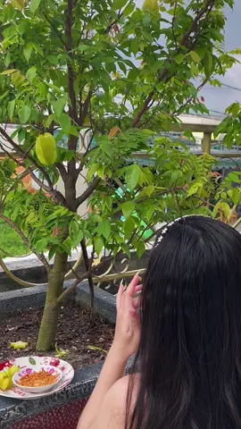 Cây khế ngọt của ngoại tôi trồng năm nào đã cho ra những chùm quả đầu tiên 