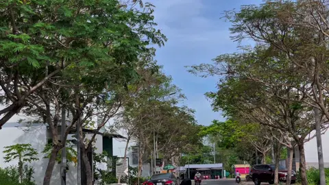 Đá đi đá đi #sonic150r #rs150malaysia_oficial🇲🇾 #xuhuongtiktok 