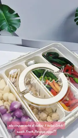 storage kulkas untuk simpan cabe tahan 1 bulan #storagebox #storagekulkas #storageaesthetic 