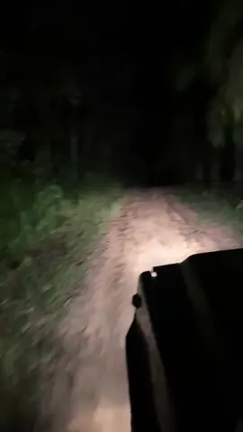 jam malam🤫#fyp #storysupirtruk #sawit #lansirsawit #sawitontiktok 