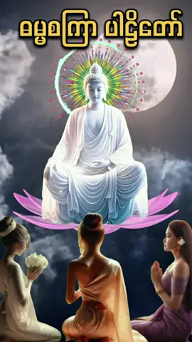 ဓမ္မစကြာ ပါဠိတော် စ/ဆုံး #တရား #short #fyp #ဓမ္မ #ဓမ္မစကြာ #tiktokbusinesscampaign #SmallBusiness 