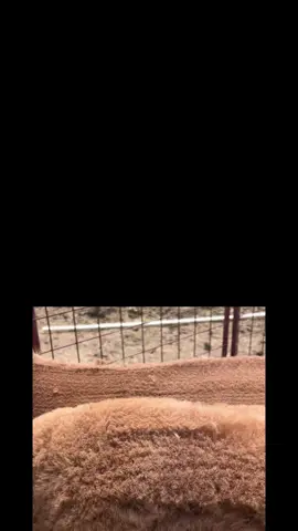 #paulovieiracortes @paulovieiracoach @paulovcoach