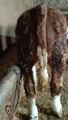 kalite çizmeye devam