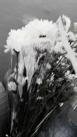 #freshflowers #flowers #xyzbca #galau