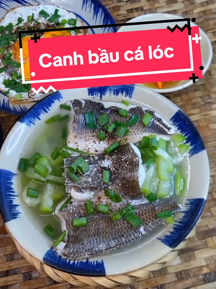 Canh bầu cá lóc #mónngonmỗingày #xuhuongtiktok 