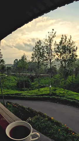 මේ වගේ තැනක ගෙදරක් තියෙන්න පින් කරන්න ඕන  #haputhale #srilanka #train #travel #evening #tea #ceylontea 