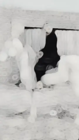 #🎉✨️SARDAR🎉✨️ #🎉JHANG🎉 #viral #500k #flypシ #grow 