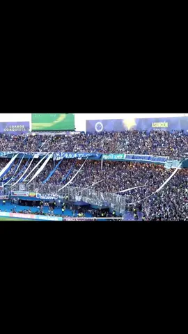 Uma bela cigana 🃏🔮 #cruzeiro #torcidadocruzeiro #sulaamericana #labestianegra #fy 