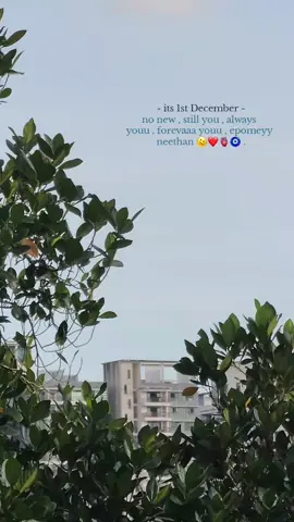 1st December 🪬 ! #fyppppppppppppppppppppppppppppppppppp #fypppppppp #iphone13promax #tamil #fypppp #december2024 #new #fyppppppppppppppppppppppppppp #trend #fyppppp #virallllllllllllllllllllllllll #fypppppppppppppp 