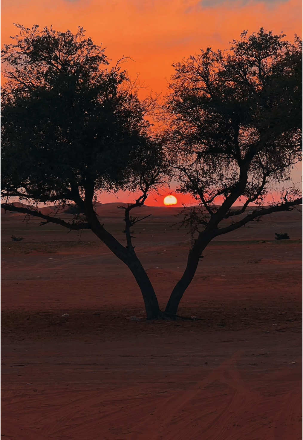 غروب الشمس ..  #علاج_التكاك #غروب #جمال #كشته #نفود 