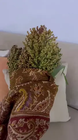 #جازان_الحب #اكسبلورexplore شال الكشميري😂😂👍