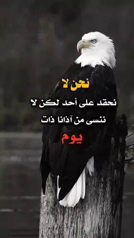#تصميم #عبارات #اكسبلور 