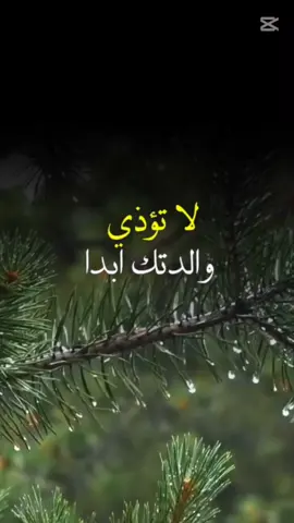 لا تُؤْذِ والدتك أبدًا #اقتباسات #تحفيز #حكمة #خواطر #نجاح #علم_النفس  #الاخ_الاكبر #وليد_عمر_ابوالعلا  #تطوير_الذات #اكسبلور #النور #الام #كلام_من_ذهب #explore  #viral_video #pourtoi 